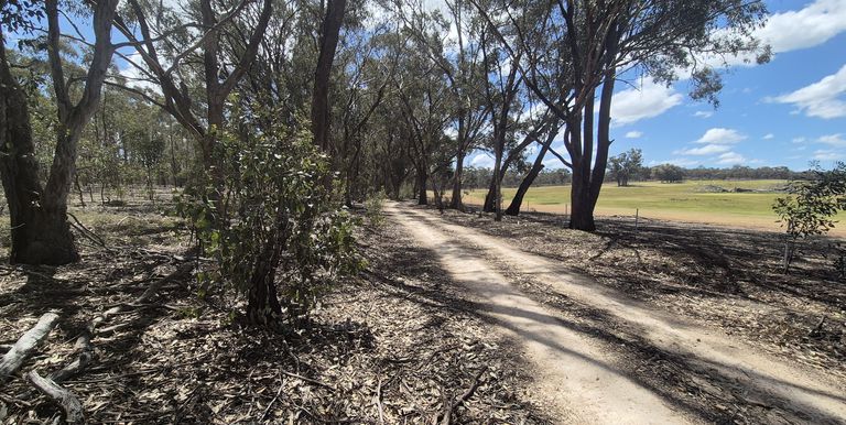 Lot 3 Gellibrand Tonks Road , Earlston