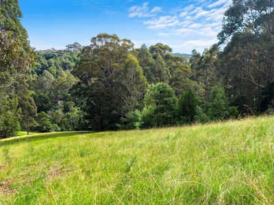 Lot 7, Ridge Road, Central Tilba