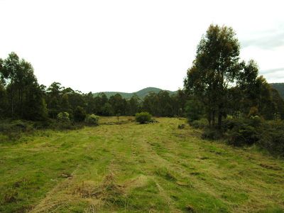 Olley's Road, Lonnavale