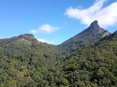 501 Mount Warning Road, Mount Warning