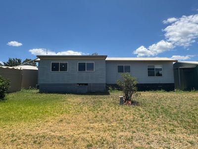 50 Porcupine Lane 'Seymour', Tintinhull