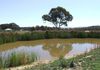 14 The Water Way, Clifton Grove