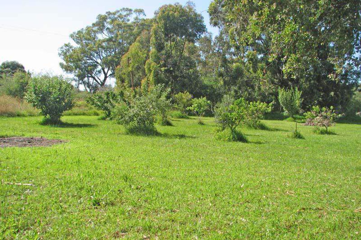 1054 McEwen Road, Kyabram