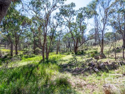 Lot 44, Yarraford Road, Glen Innes