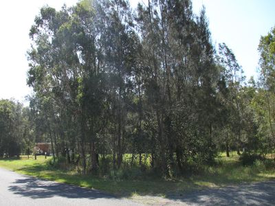 5 Sweetpea Road, Forster