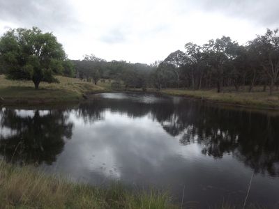 Emmaville Road, Inverell