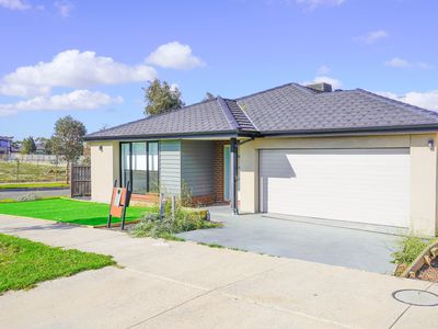 31 Medlar Avenue, Manor Lakes