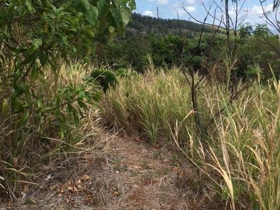 16 Rainforest Street, Cooktown