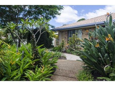 59 Griffith Avenue, Tewantin