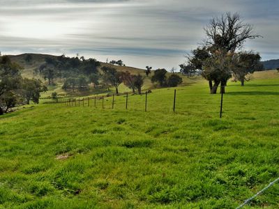 Lot 2, 101 Mcfarlanes Road, Granya