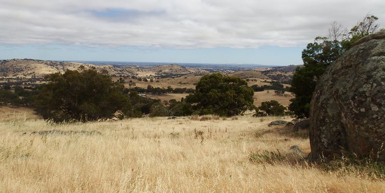 1209 Euroa Strathbogie Road Kelvin View, Euroa