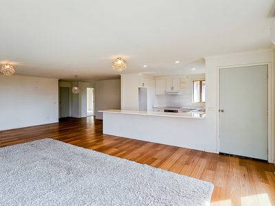 1 / 31 Ocean Avenue, Surf Beach
