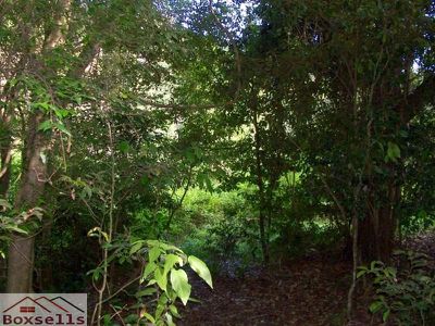 Maleny