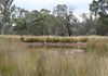 Lake Endeavour Road, Parkes