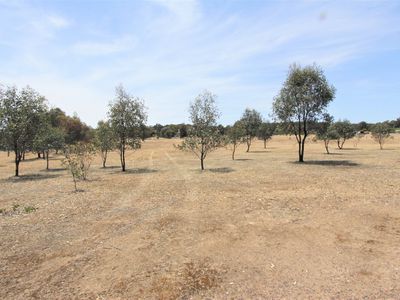 161 Hylands Lane, Heathcote