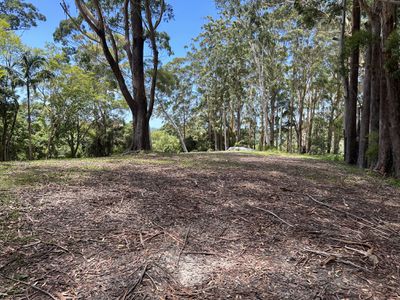 76 Maso Road, Repentance Creek