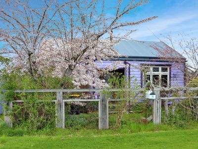 15 Wamphray Street, Nightcaps