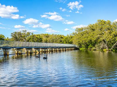 33 Bursaria Crescent, Ferndale