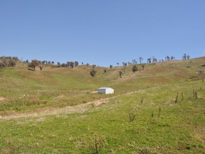 . Jamieson Lane, Sandy Creek
