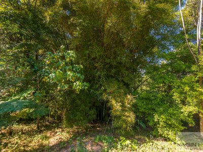15a / 94 Symonds Road, Blue Knob