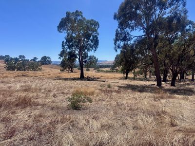 84 Owens Creek Drive, Mansfield