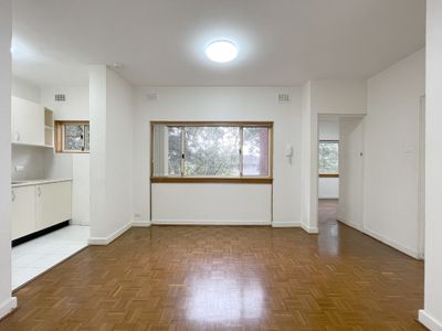 10 / 5A Frances Street, Randwick