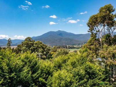 11 Coolumbooka Avenue, Tawonga South