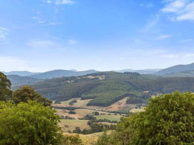 312 Silver Hill Road, Cygnet
