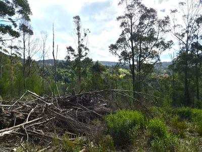 Lot 2, Off Paddys Lane, Franklin