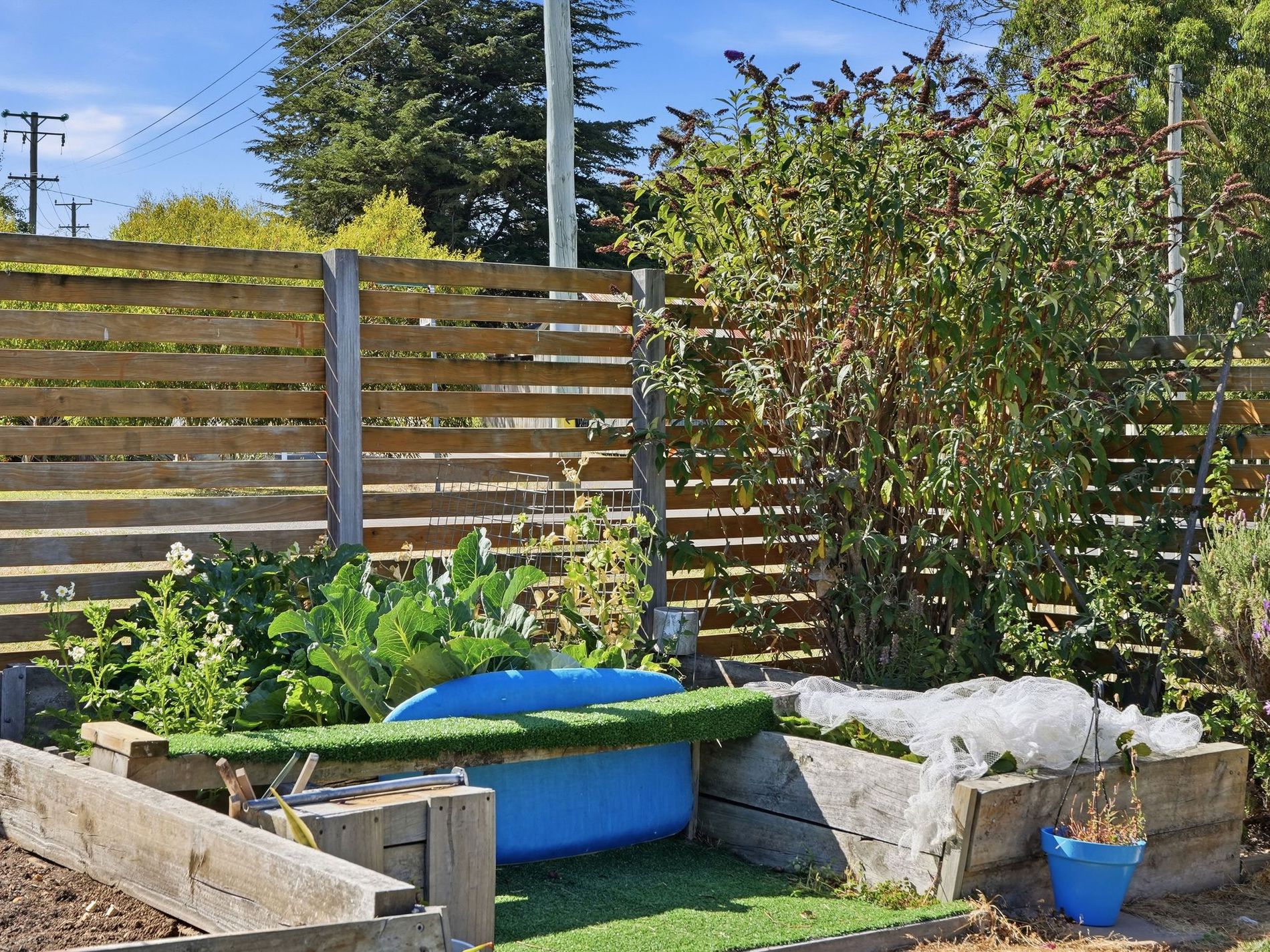 37 Thorp Street, Cygnet