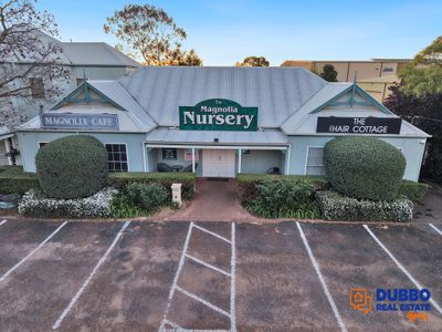 Magnolia Nursery