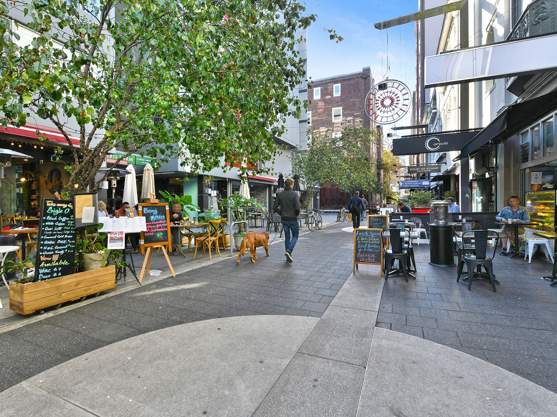 4 / 18 Springfield Avenue, Potts Point