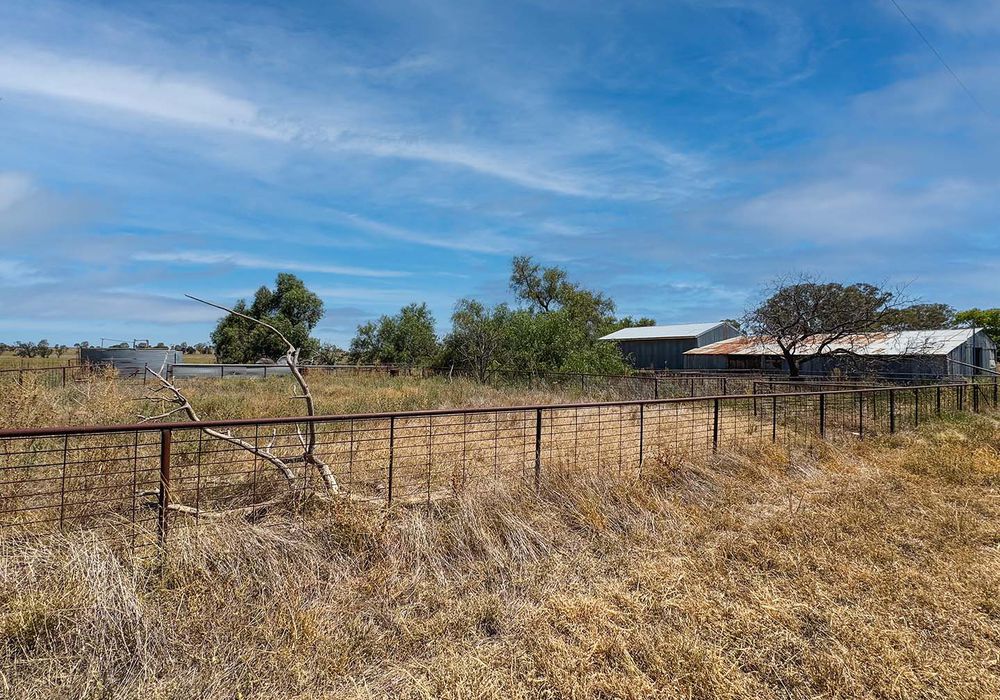 2643 Back Trundle Road, Cooks Myalls