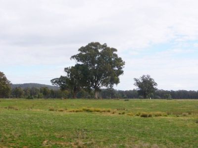 Lot 6 McKeone Road, Barnawartha