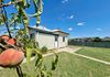 19 Binstead Street, Blayney