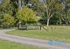 252 Welshs Road, Baddaginnie