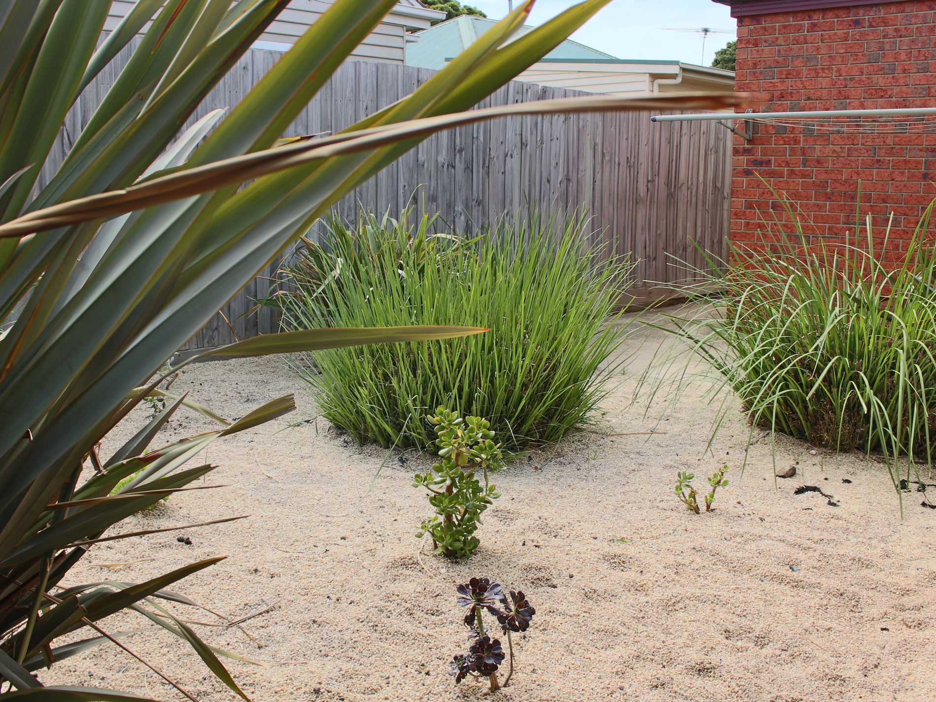 6 Watson Avenue, Belmont