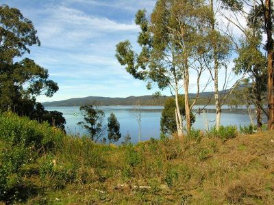 Lot 1 Cygnet Coast Road, Petcheys Bay