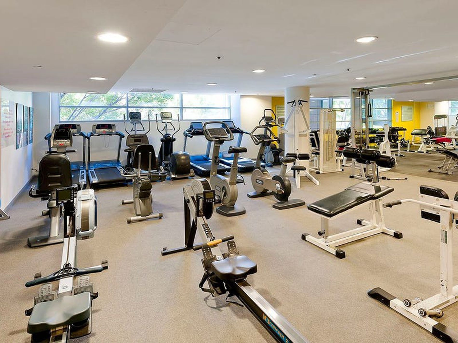 811 / 23 Shelley Street, Sydney