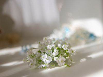 29 Liberation Street, Harrisdale