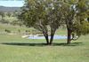 779 Lower Lewis Ponds Road, Orange
