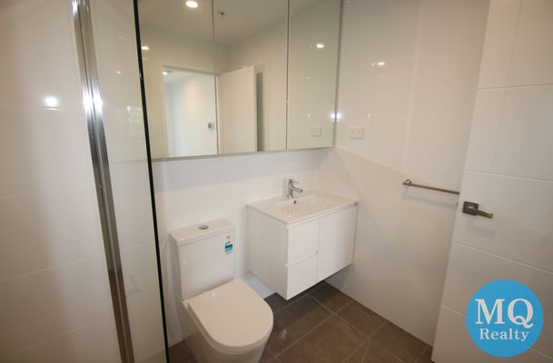 509 / 11 RAPHAEL STREET, Lidcombe