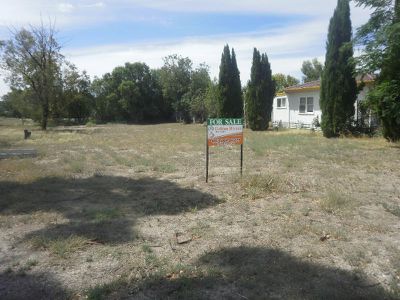 Moulamein