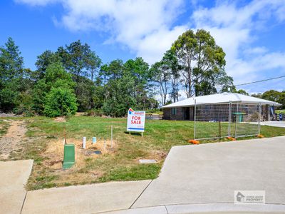 15 Hill Court, Wynyard