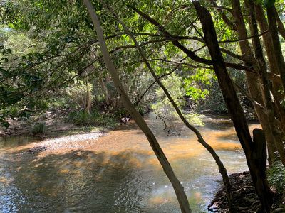 591 Bloomfield Road, Rossville