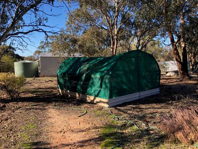 814 Brenanah-Wehla Road, Brenanah