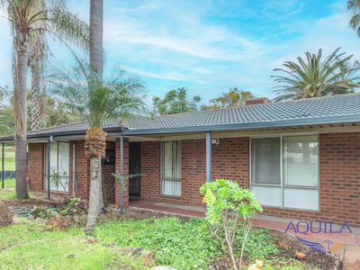 27 Dagmar Way, Swan View