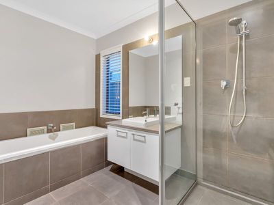10 Haflinger Avenue, Clyde North