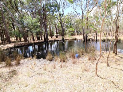 575 Hardings Lane, Tooborac