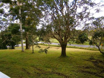 5 Wilsons Creek Road, Mullumbimby